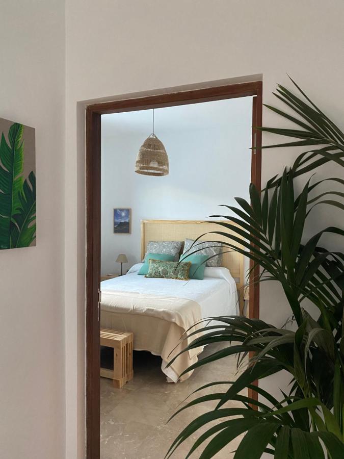 Casa Doris Apartment ซานเซบาสเตียน เด ลาโกเมรา ภายนอก รูปภาพ